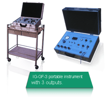 Three Outputs Portable Gas Filling Machine Suitable For Onsite Operation