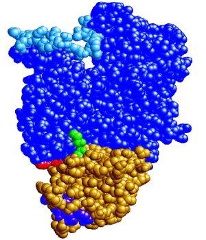 Crosslinking-Is-The-Major-Property-Of-Photovoltaic-EVA-Encapsulant.png